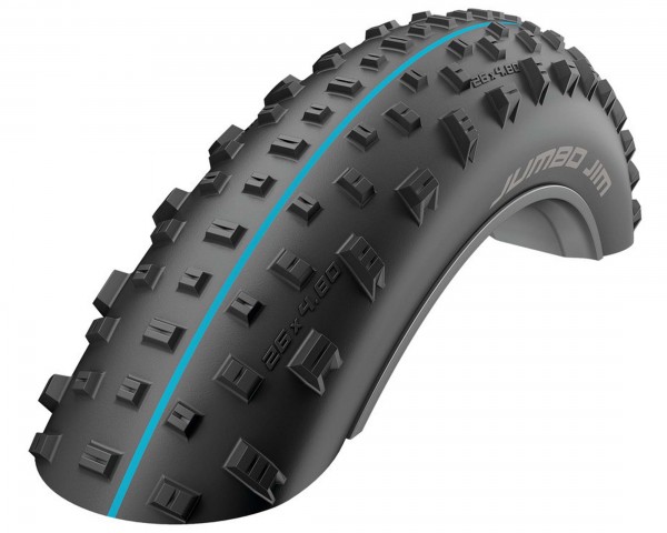 Schwalbe Reifen Jumbo Jim Evolution 26 x 4.00 - SnakeSkin, TL-Easy, faltbar | black