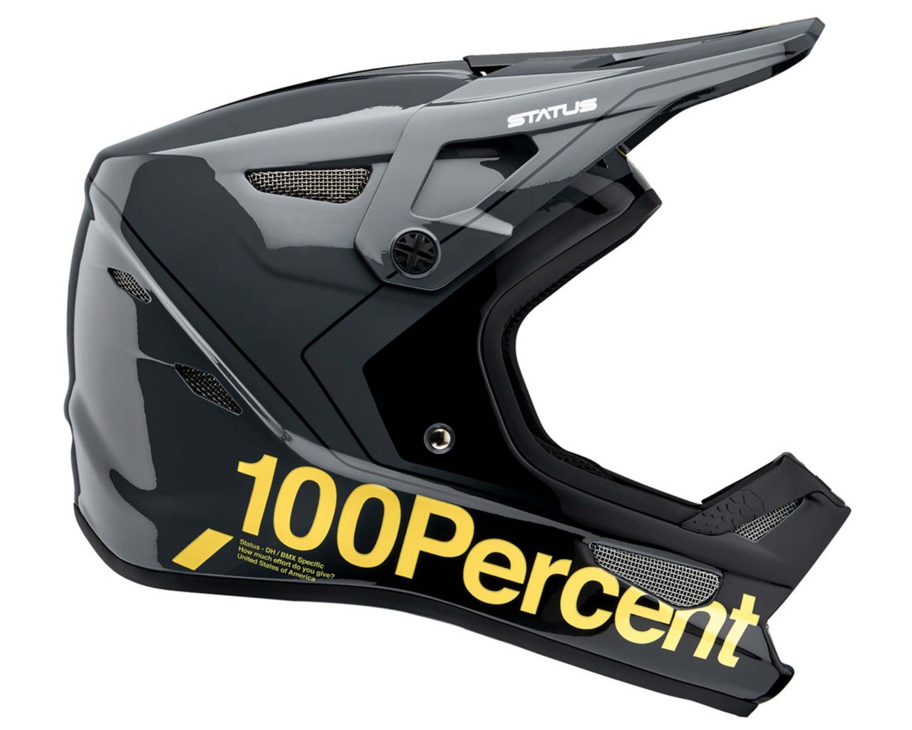 100% Status DH/BMX Helm | carby charcoal